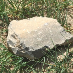 Tell Malyan, Stone