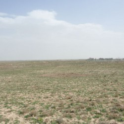 Tell Malyan, Surface