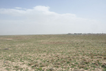 Tell Malyan, Surface