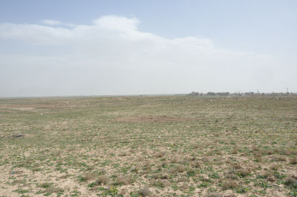 Tell Malyan, Surface