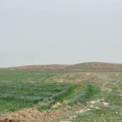 Tell Malyan, View from the west