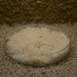 Potash