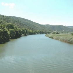 The Strymon near Amphipolis