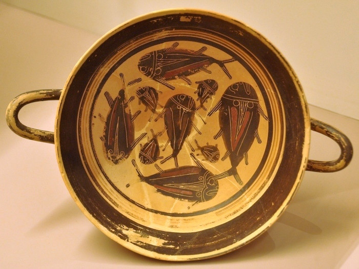 Sparta, Laconian bowl decorated with fish