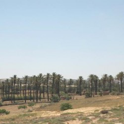 Wadi Qaam
