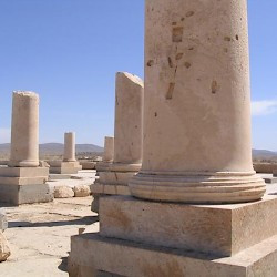 Pasargadae, Palace P, Columns