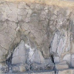 Pasargadae, Palace S, Relief of the bird-man