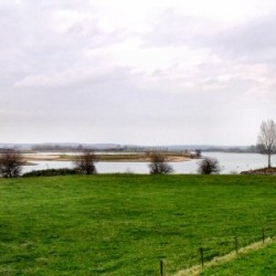 Site of Mannaricum