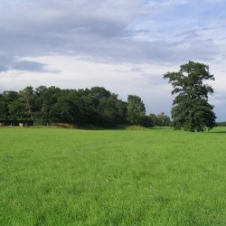 Anreppen, Site of the southeast wall