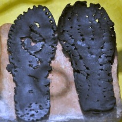 Aardenburg, Sandals