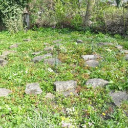 Aardenburg, Remains of the temple