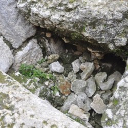 Ain Akrine, Temple 1, Access to the crypt