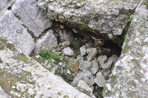 Ain Akrine, Temple 1, Access to the crypt