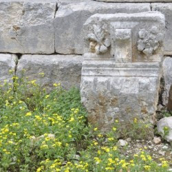 Ain Akrine, Temple 1, Decoration