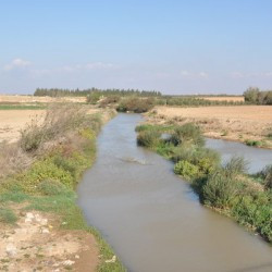 The Orontes north of Kadesh