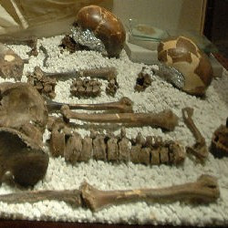 Antioch, Sidemara sarcophagus, skeletons