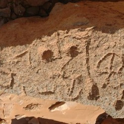 Wadi el-Amud, Inscription