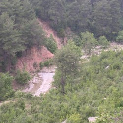 Tarsus valley
