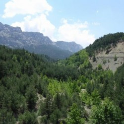 Tarsus Valley