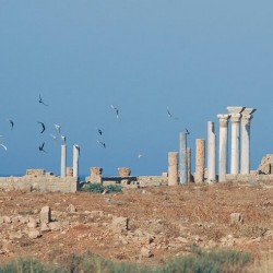 Seagulls above Apollonia's central basilica
