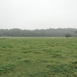 Alt-Kalkar, Site of Burginatium