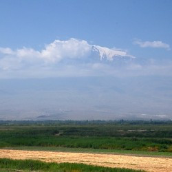 Ararat from Artaxata