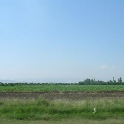 The Cilician Plain (Que)