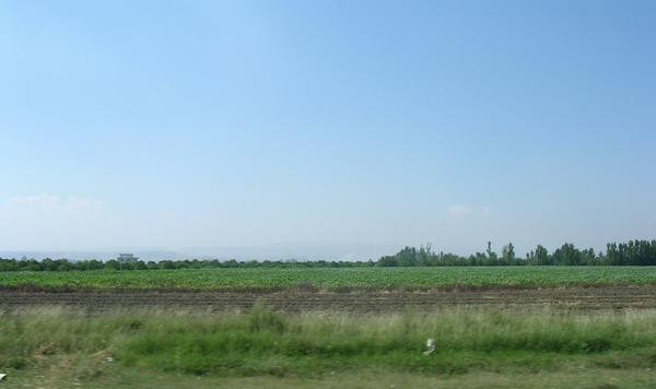 The Cilician Plain (Que)