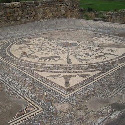 Volubilis, Mosaic