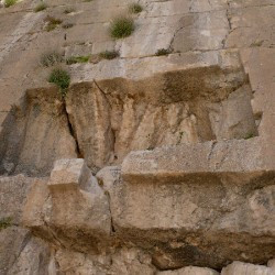 Qadamgah, Niches