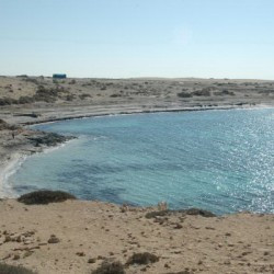 Boreum, South harbor, seen from the citadel