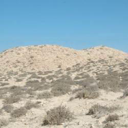 Boreum, Eastern bastion