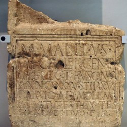 The Herwen Mole Inscription