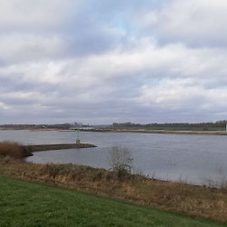 Bifurcation of Rhine and Waal