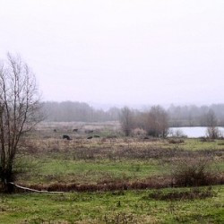 The site of Arnhem-Meinerswijk