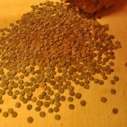 Heerlen Treasure: 869 coins from the Gallic Empire