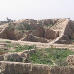 Haft Tepe, Palace Ruins?