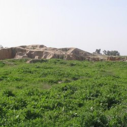 Haft Tepe, Ziggurat?