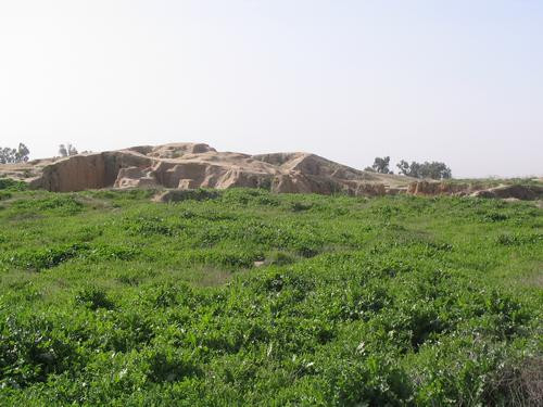 Haft Tepe, Ziggurat?