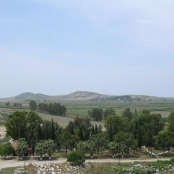 Lade, from Miletus