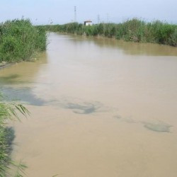 The muddy Meander