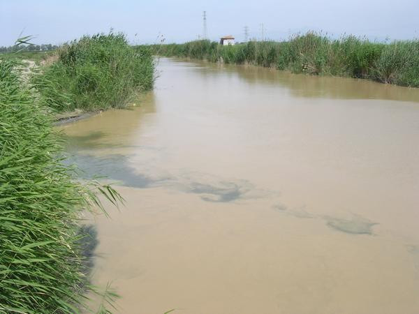 The muddy Meander