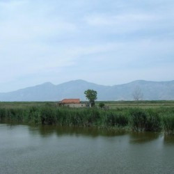 Meander and Mycale