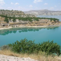 Belkis, Euphrates