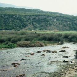 Thermopylae, Phoenix River