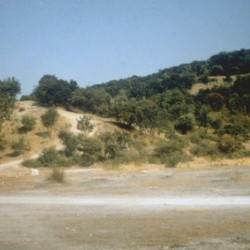Thermopylae, Hill ("last stand of Leonidas")