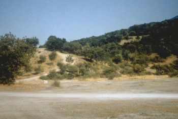 Thermopylae, Hill ("last stand of Leonidas")