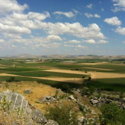 Pharsalus, Battlefield