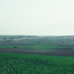 Pydna, Battlefield, seen from the north