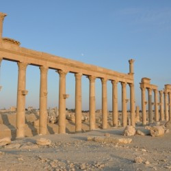 Palmyra, Colonnaded street
